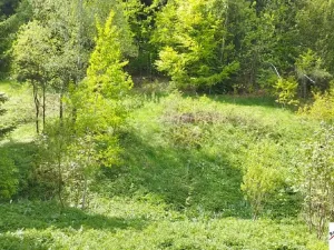 Prodej pozemku pro bydlení, Tanvald, 7310 m2