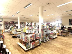 Pronájem obchodního prostoru, Praha - Nové Město, Vodičkova, 627 m2