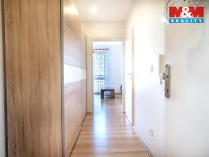 Prodej bytu 3+1, Veselí nad Lužnicí - Veselí nad Lužnicí I, Pod Markem, 62 m2