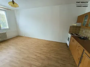 Pronájem bytu 1+kk, Děčín, Želenická, 25 m2