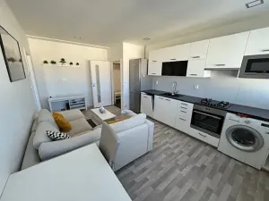 Pronájem bytu 2+kk, Praha - Holešovice, U městských domů, 43 m2