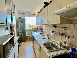 Prodej bytu 3+1, Veselí nad Lužnicí, Blatské sídliště, 78 m2