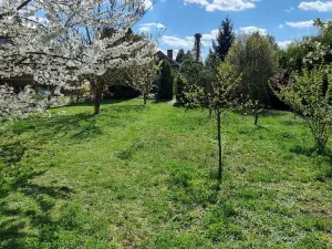 Prodej zahrady, Břeclav, Na Širokých, 1373 m2