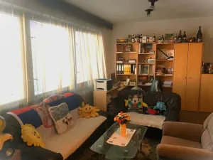 Prodej rodinného domu, Strakonice, Vrchlického, 365 m2