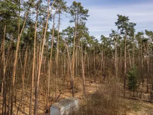 Prodej pozemku pro bydlení, Hradištko, Kersko, 4428 m2