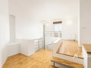Prodej bytu 6+kk a větší, Brno, Čápkova, 209 m2
