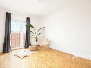 Prodej bytu 6+kk a větší, Brno, Čápkova, 209 m2