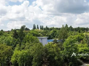 Prodej bytu 6+kk a větší, Brno, Čápkova, 209 m2