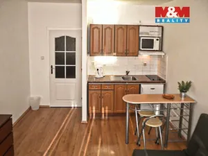 Pronájem bytu 1+kk, Ostrava - Moravská Ostrava, 30. dubna, 28 m2