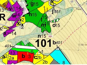 Dražba lesa, Semily, 561 m2