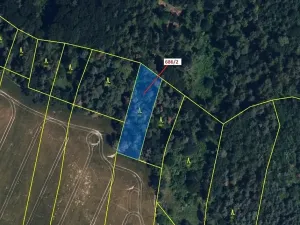 Dražba lesa, Přemyslovice, 1381 m2