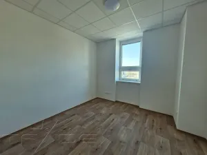 Prodej obchodního prostoru, Znojmo, Vídeňská třída, 5100 m2