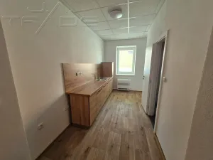 Prodej obchodního prostoru, Znojmo, Vídeňská třída, 5100 m2
