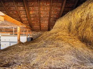 Prodej rodinného domu, Štěkeň, 69 m2