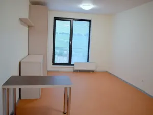 Pronájem bytu 1+kk, Rajhrad, Masarykova, 30 m2