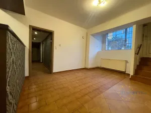 Prodej obchodního prostoru, Praha - Nusle, Na Jezerce, 74 m2
