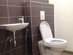Prodej obchodního prostoru, Praha - Nusle, Na Jezerce, 74 m2
