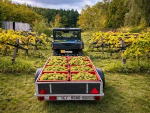 Prodej zemědělské usedlosti, Lhenice, 300 m2