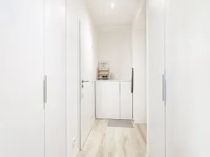 Pronájem bytu 1+1, Ostrava, Zelená, 36 m2