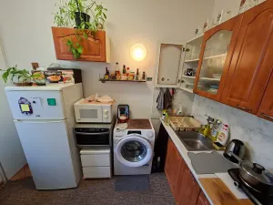 Prodej bytu 1+1, Brno, Halasovo náměstí, 29 m2