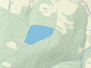 Prodej lesa, Krásná, 91919 m2