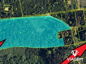 Prodej podílu lesa, Frýdlant nad Ostravicí, 15401 m2