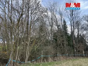 Prodej lesa, Košťálov - Kundratice, 11072 m2