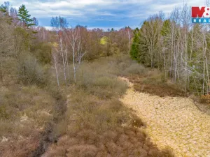 Prodej rybníku, Dvory nad Lužnicí, 8649 m2