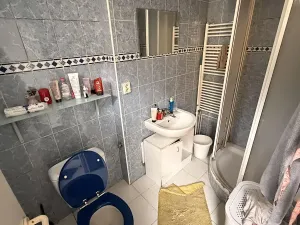 Prodej obchodního prostoru, Benešov nad Ploučnicí, Krátká, 449 m2