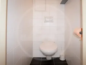 Pronájem bytu 3+1, Praha - Sedlec, V Sedlci, 97 m2