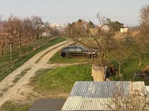 Prodej pozemku pro bydlení, Střelice, 904 m2