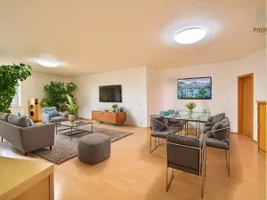 Prodej bytu 4+kk, Brno, Mojžíšova, 171 m2