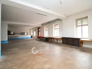 Prodej obchodního prostoru, Úpice, Palackého, 1705 m2