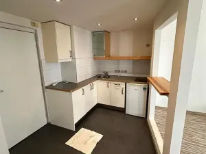 Pronájem bytu 2+kk, Praha - Nusle, Na Pankráci, 45 m2