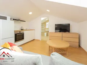 Pronájem apartmánu, Ostrava, Cihelní, 54 m2