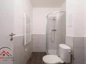 Pronájem bytu 1+kk, Ostrava, Palackého, 26 m2