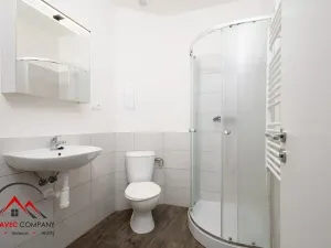 Pronájem bytu 1+kk, Ostrava, Palackého, 30 m2