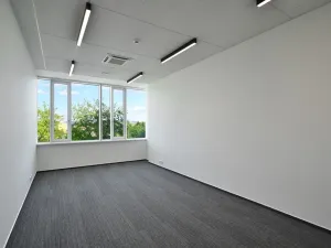 Pronájem kanceláře, Brno, Jana Babáka, 90 m2