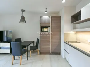 Pronájem bytu 1+1, Praha - Bubeneč, Mlýnská, 36 m2