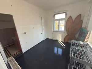 Pronájem rodinného domu, Praha - Braník, U dubu, 200 m2