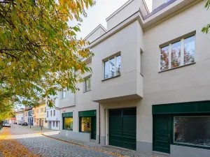 Prodej bytu 5+kk, Praha - Střešovice, Pod bateriemi, 173 m2