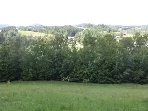 Dražba louky, Dolní Dobrouč, 4634 m2