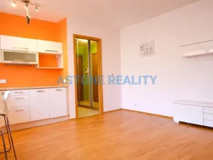 Pronájem bytu 1+kk, Praha - Břevnov, Brunclíkova, 30 m2