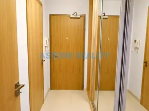 Pronájem bytu 1+kk, Praha - Břevnov, Brunclíkova, 30 m2