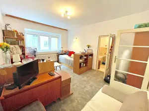 Pronájem bytu 1+1, Brno, Mezírka, 50 m2