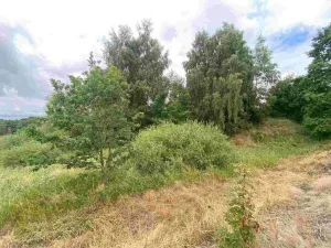 Prodej pozemku, Aš, 2675 m2