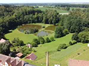 Prodej pozemku, Pluhův Žďár - Jižná, 1974 m2