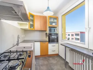 Prodej bytu 2+1, Hradec Králové - Moravské Předměstí, Vysocká, 55 m2