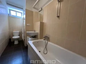 Pronájem bytu 1+1, Brno, Skácelova, 46 m2