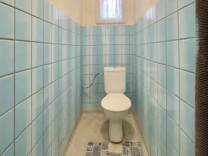 Prodej rodinného domu, Třebařov, 336 m2